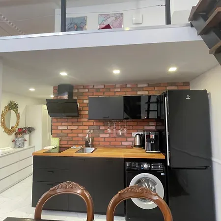 Loft Z Antresola I Balkonem W Centrum Lodzi Przystan Jednorozca Klimatyzacja Faktura Апартаменты *