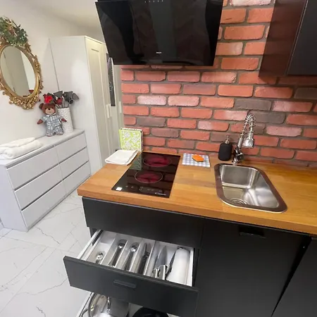 Loft Z Antresola I Balkonem W Centrum Przystan Jednorozca Klimatyzacja Faktura Daire *